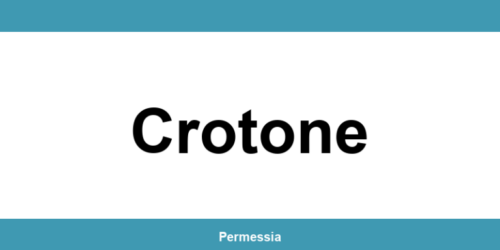 Contatti dell’ufficio della Questura a Crotone